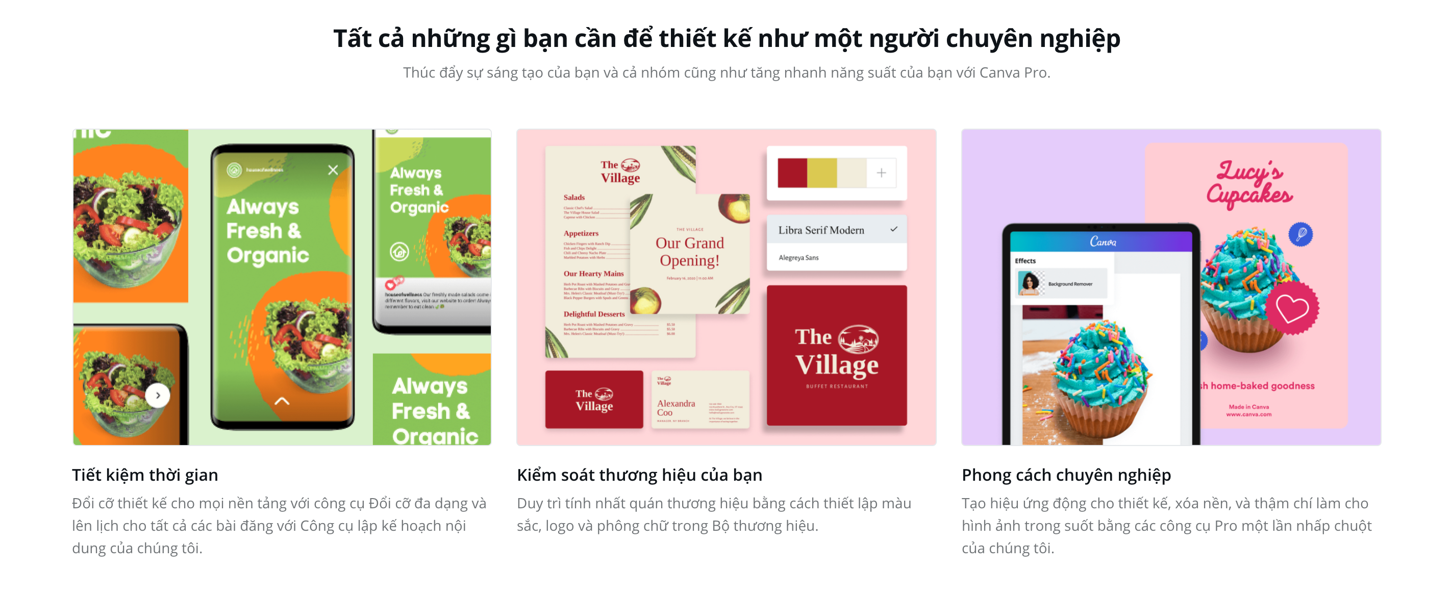 Hướng dẫn sử dụng Canva thành thạo từ A – Z