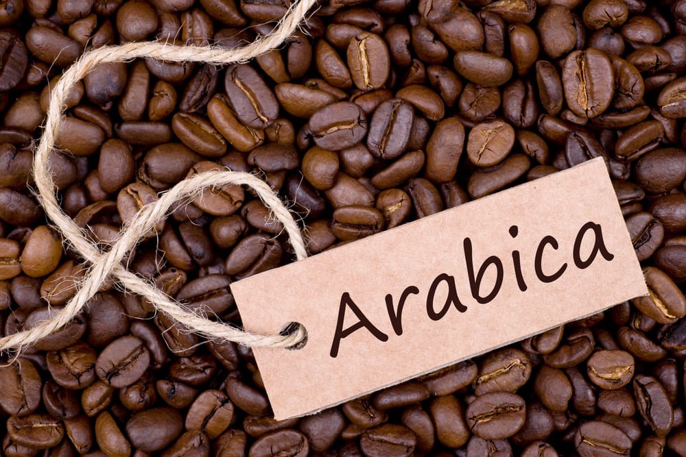 các loại hạt cà phê: Arabica