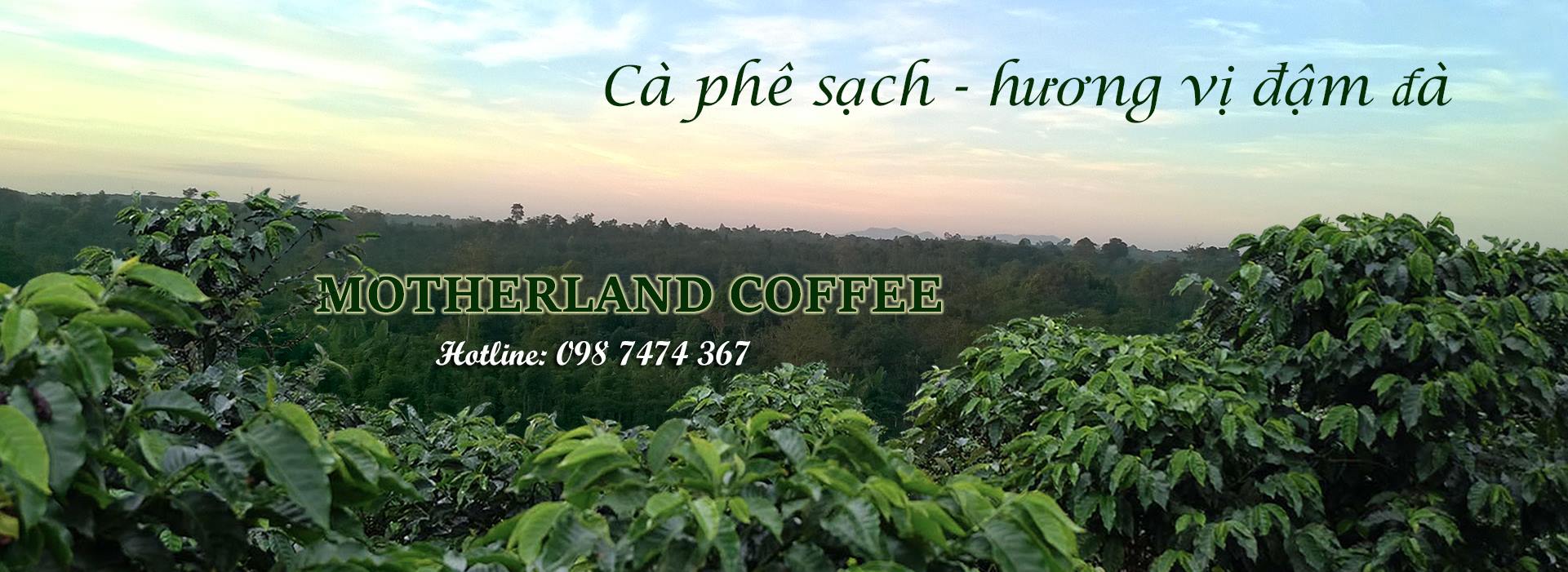 Motherland Coffee 