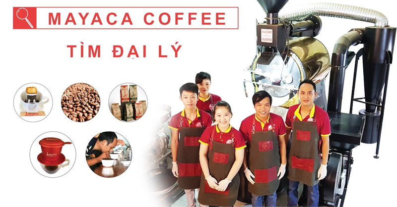Công ty TNHH MTV Cà phê MAYACA - nhà cung cấp nguyên vật liệu cà phê tại miền Trung