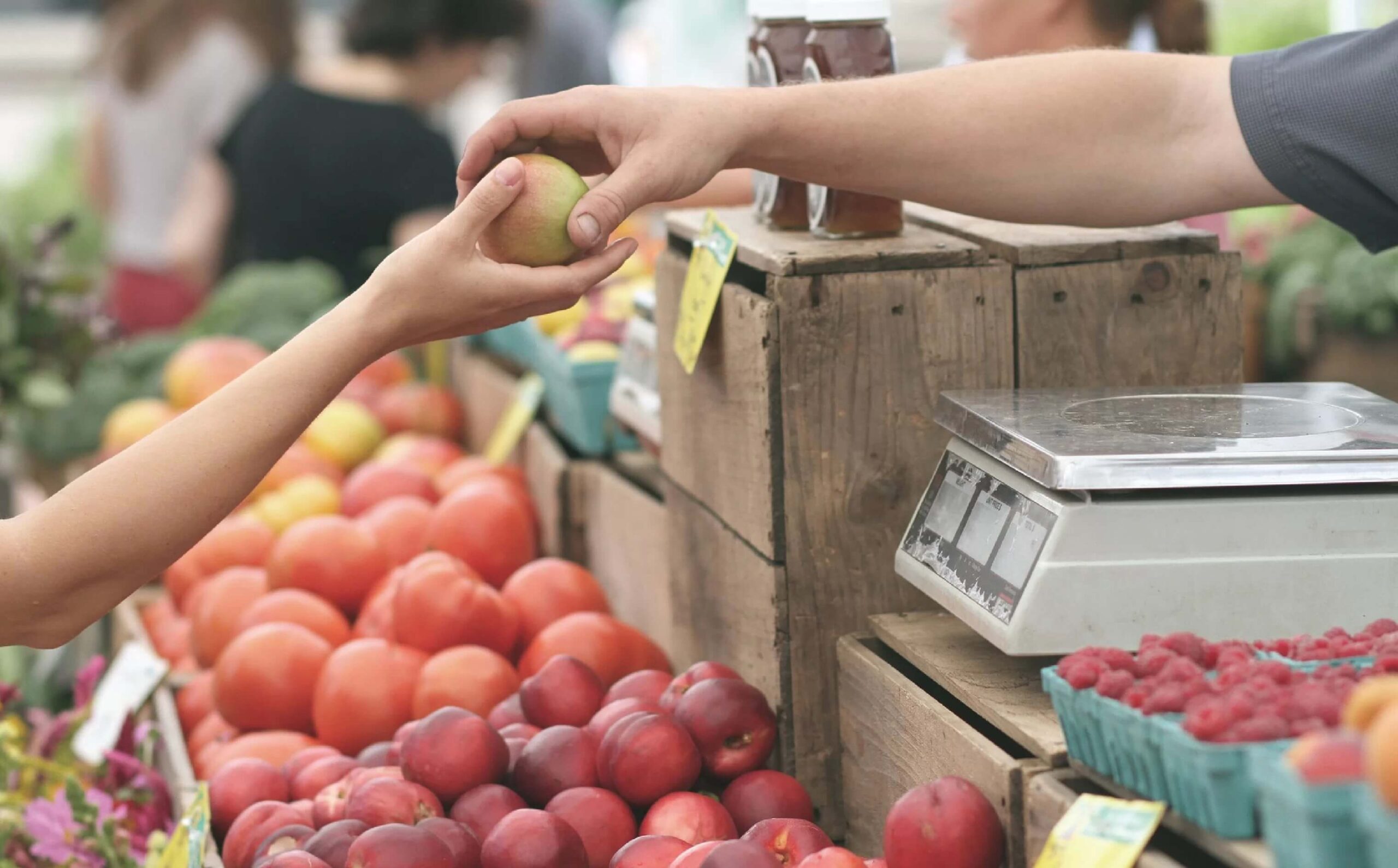 lưu ý khi xin vía buôn may bán đắt