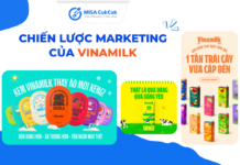 Chiến lược marketing của Vinamilk